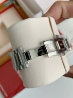 Omega Seahorse Series AQUA TERRA 150meter dive wristwatch,41.5mm - Image 5