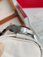 Omega Seahorse Series AQUA TERRA 150-meter dive wristwatch,41mm - Image 8