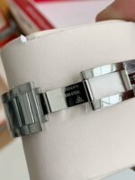 Omega Seahorse Series AQUA TERRA 150-meter dive wristwatch,41mm - Image 5