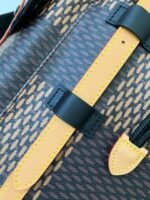 Louis Vuitton Medium-sized men' smatching colored backpack M40350 Size:38*44*21cm - Image 15