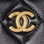 Chanel 22 3A Small Hobo Sheepskin Underarm BagAS4220 Tassel Hardware, Top QualitySize:17.5*24*6cm - Image 10
