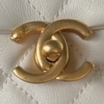 Chanel 23s Underarm Bag AS3984, Top QualitySIZE: 12*18*10cm - Image 6