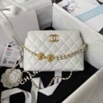 Chanel 23A Golden Little Lion Chain Bag AP3429, Top Quality Size: 19* 13*8cm