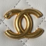 Chanel 23A Golden Little Lion Chain Bag AP3429, Top Quality Size: 19* 13*8cm - Image 3