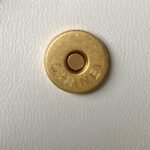 Chanel 23A Golden Little Lion Chain Bag AP3429, Top Quality Size: 19* 13*8cm - Image 7