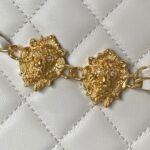 Chanel 23A Golden Little Lion Chain Bag AP3429, Top Quality Size: 19* 13*8cm - Image 9