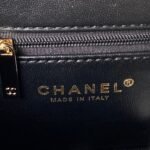 Chanel 23A Hot Selling Pearl Stick Bag AS3791, TopQuality Size: 11.5*26*4cm - Image 8