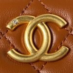 Chanel 23A Golden Little Lion Chain Bag AP3429, Top Quality Size: 19*13*8cm - Image 4