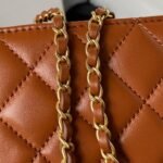 Chanel 23A Golden Little Lion Chain Bag AP3429, Top Quality Size: 19*13*8cm - Image 6