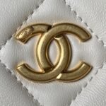 Chanel 22 3A Small Hobo Sheepskin Underarm BagAS4220 Tassel Hardware, Top QualitySize:17.5*24*6cm - Image 6