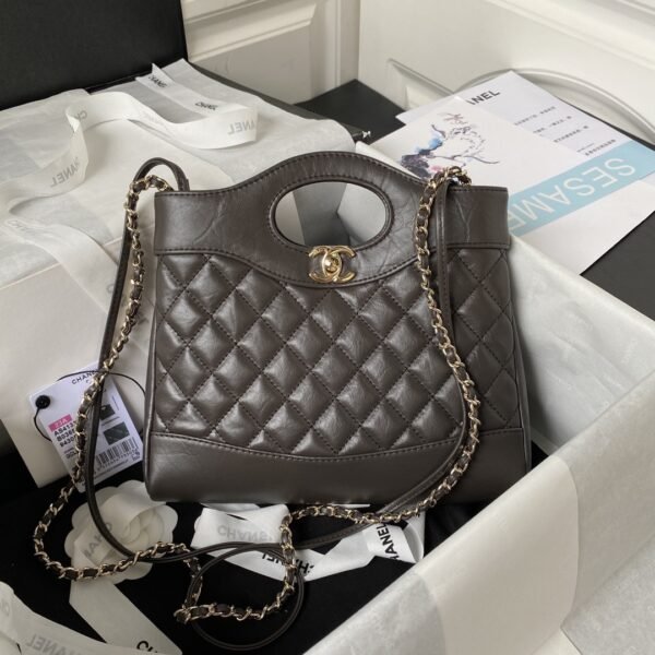 Chanel 23A mini 31 bag AS4133, top qualitySize:22*23*5.5cm