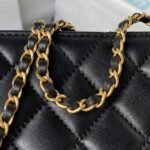 Chanel 23A Golden Little Lion Chain Bag AP3429, Top Quality Size:19*13*8cm - Image 7