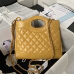 Chanel 23A mini 31 bag AS4133, top qualitySize:22*23*5.5cm - Image 2