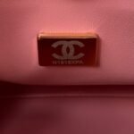 Chanel 23A Premium Handmade Sheepskin PortableLunch Box Bag AS4201, Top QualitySize: 17*21*5.5cm - Image 6