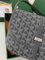 Goyard Belvédère bag Top QualitySize:21.5*16*6cm - Image 13