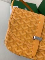 Goyard Belvédère bag Top QualitySize:21.5*16*6cm - Image 13