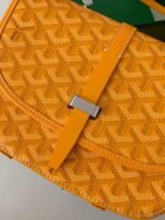 Goyard Belvédère bag Top QualitySize:21.5*16*6cm - Image 14