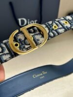 Dior Saddle Belt Width: 3.0cm - Image 6