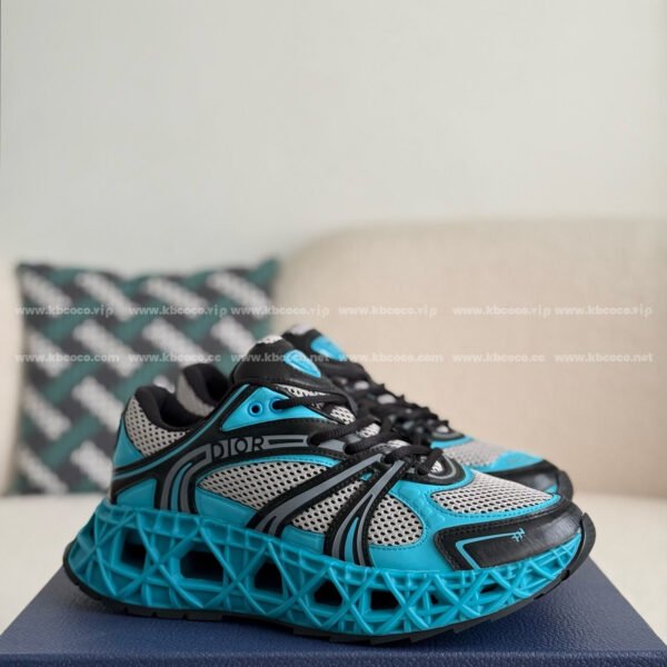 Dior B35 Sports shoes