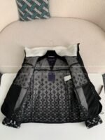 Louis Vuitton Skiing Series FW24 Stand-collar Ombre Jacket - Image 3