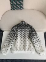 Louis Vuitton Skiing Series FW24 Stand-collar Ombre Jacket - Image 3