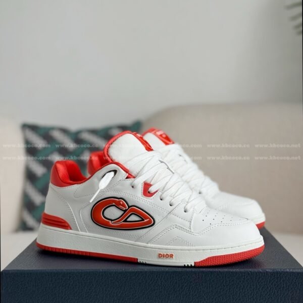 KAWS x DIOR B57 LEATHER PLANK SHOES