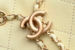 Chanel 𝟮𝟓𝐬𝐁𝐚𝐠 Hippie Shopping Bag Small Chick Yellow - Image 8