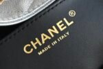 Chanel 𝟮𝟱𝐒𝐁𝐚𝐠 Hippie Shopping Bag Small Silver - Image 5