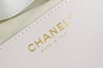 Chanel 𝟮𝟱𝐒𝐁𝐚𝐠 Hippie Shopping Bag Small White - Image 4