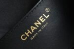 Chanel 𝟮𝟱𝗰 Early Spring 𝐛𝐚𝐠 Hippie Shopping Bag Small Black - Image 5