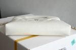 Chanel 𝟮𝟓𝐏 Lambskin Series 𝟥𝟣𝖡𝖺𝗀 𝖭𝖺𝗇𝗈 White - Image 9