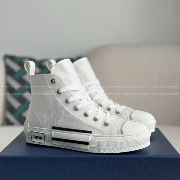 DIOR B23 High-Top Canvas shoes