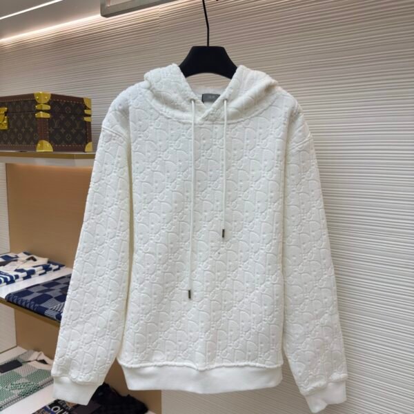 Dior Obliave full letter hoodie