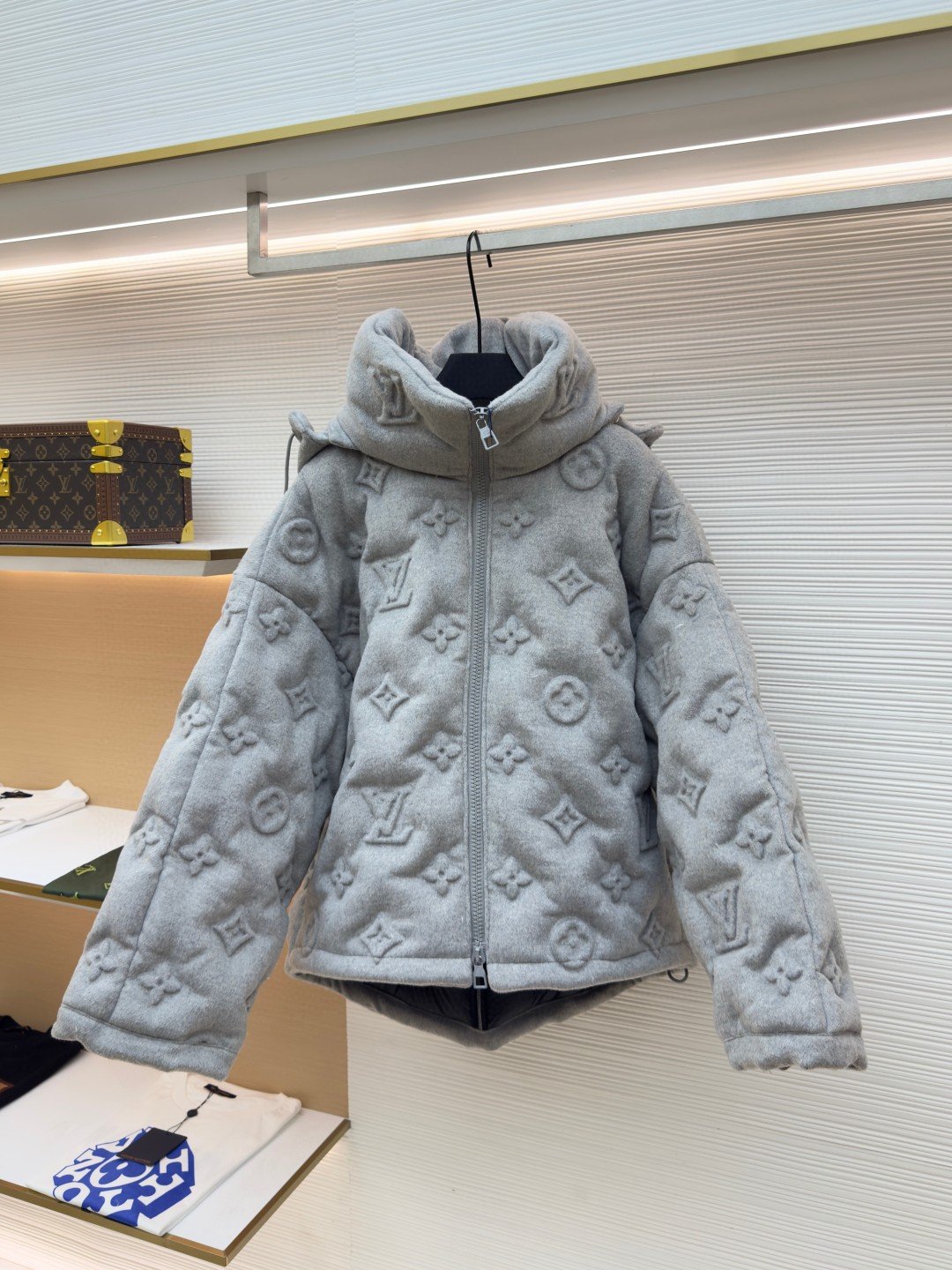 wsxc1757347581201_0.jpg LOUIS VUITTON vintage embossed down jacket - Image 1