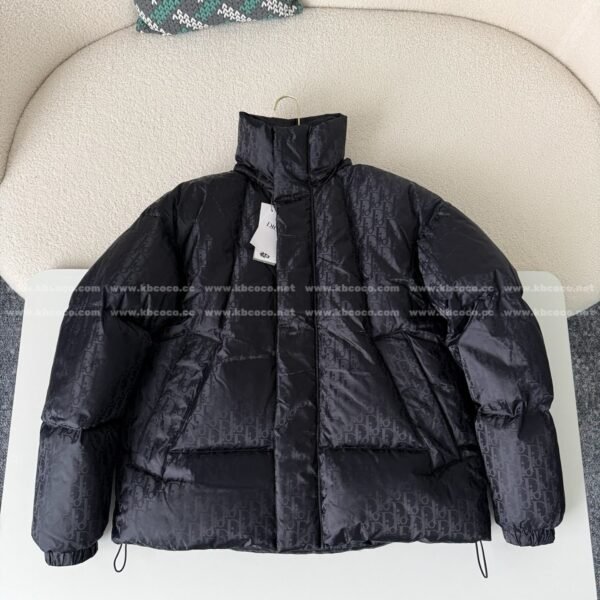 Dior Logo Printed Stand-Up Collar Down Jacket