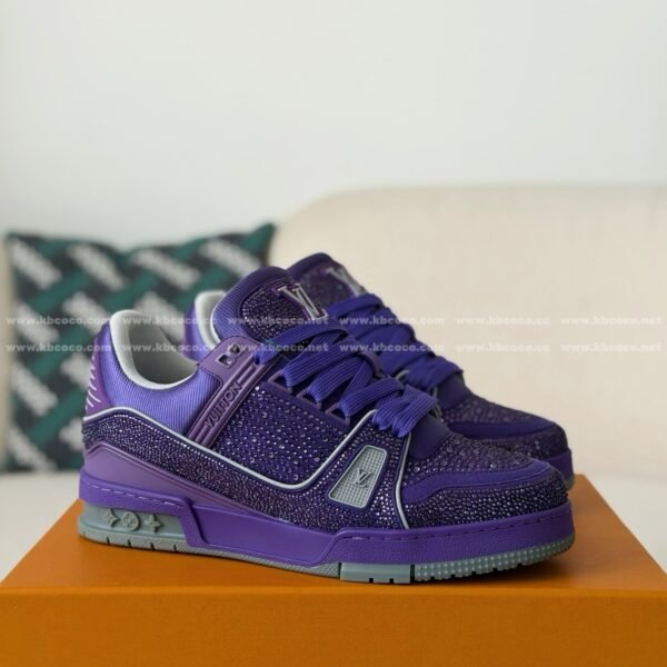 LOUIS VUITTON TRAINER SNEAKERS